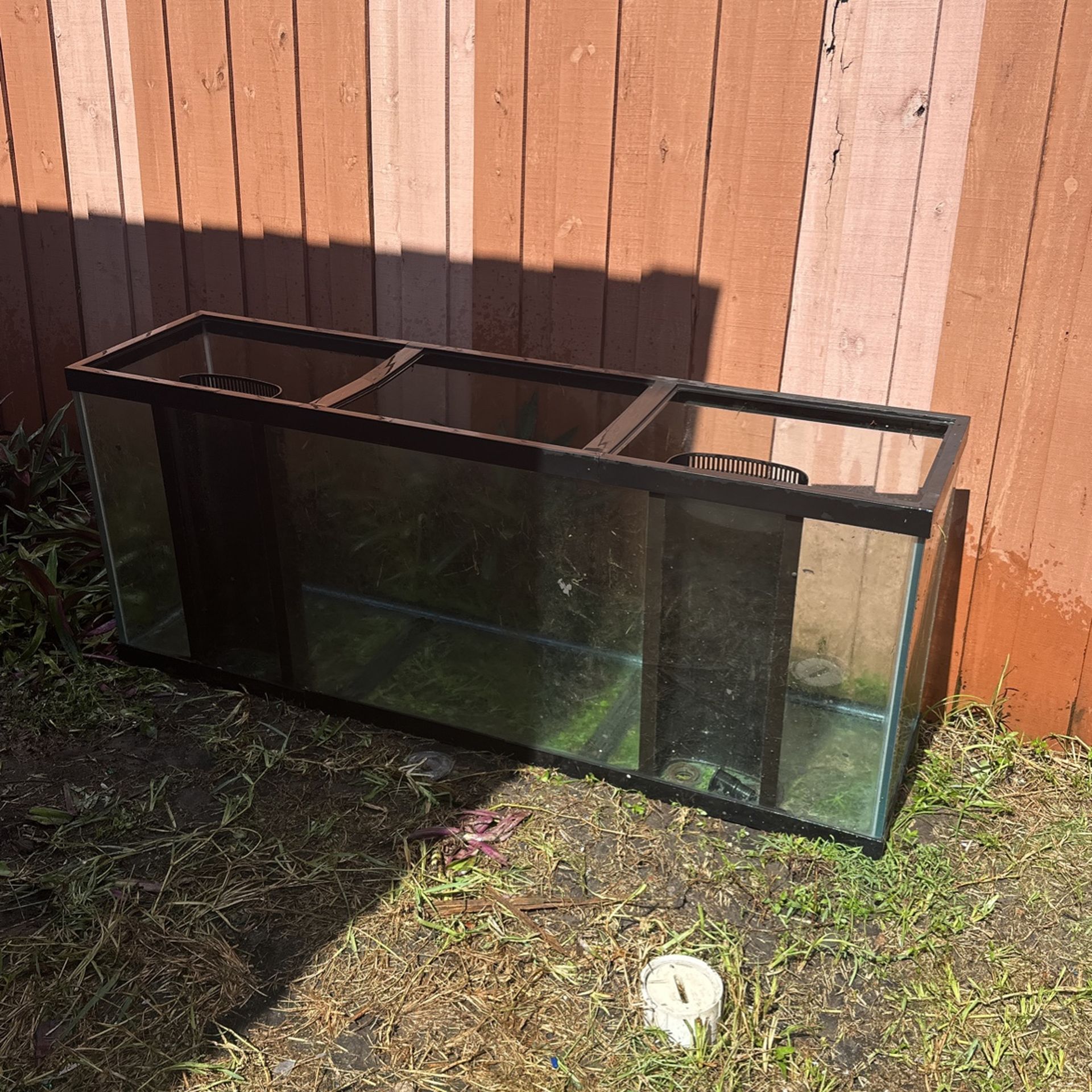 150 Gallon Glass Fish Tank