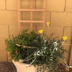 Small trellis for pots flowers, herbs, vines, vegetables.