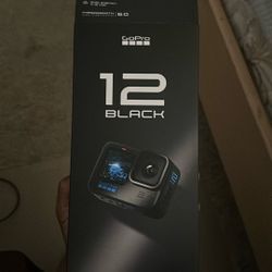 GoPro 12 black