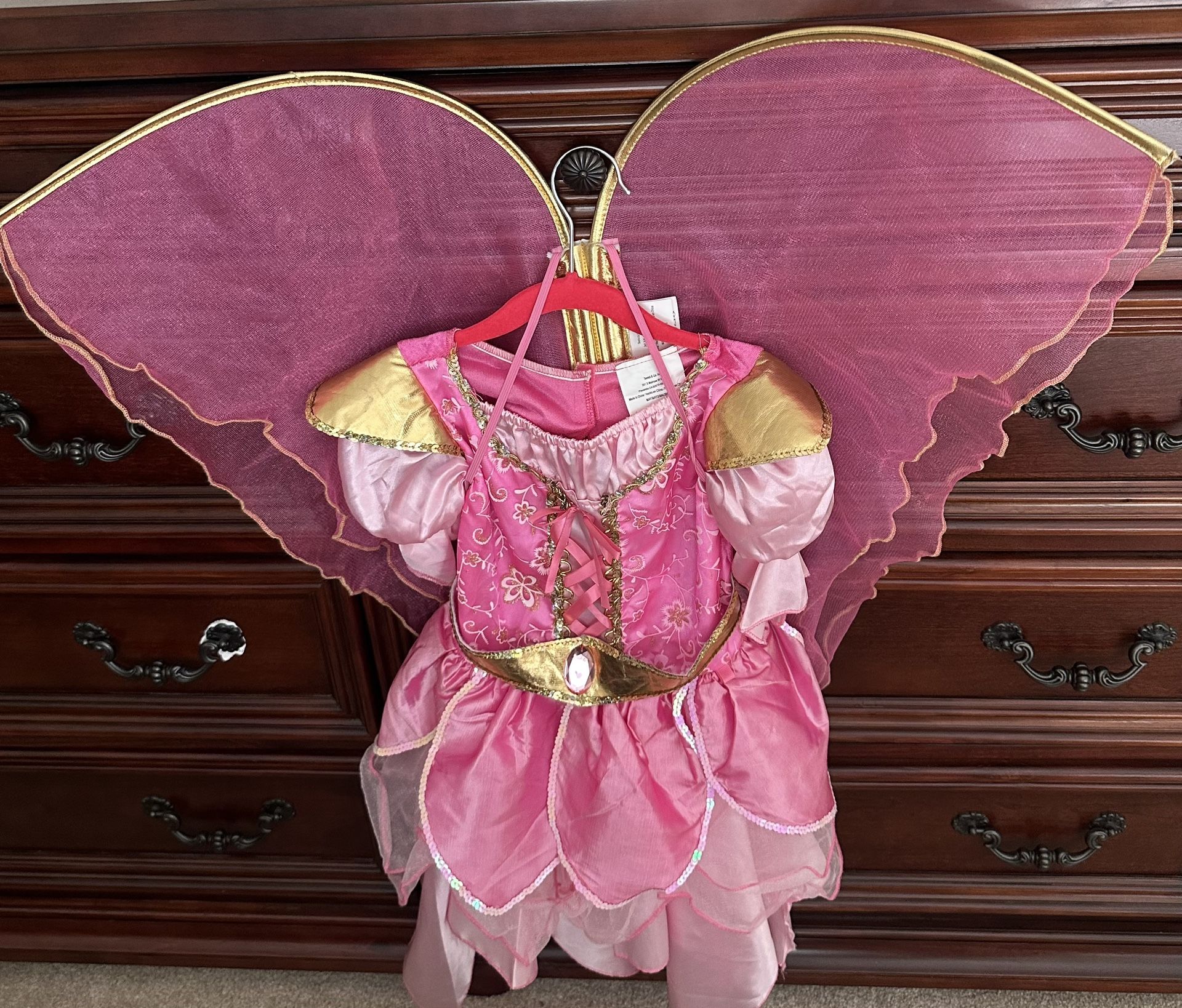 Girl’s Halloween costume