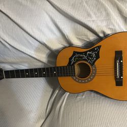 Acoustic Guitar 