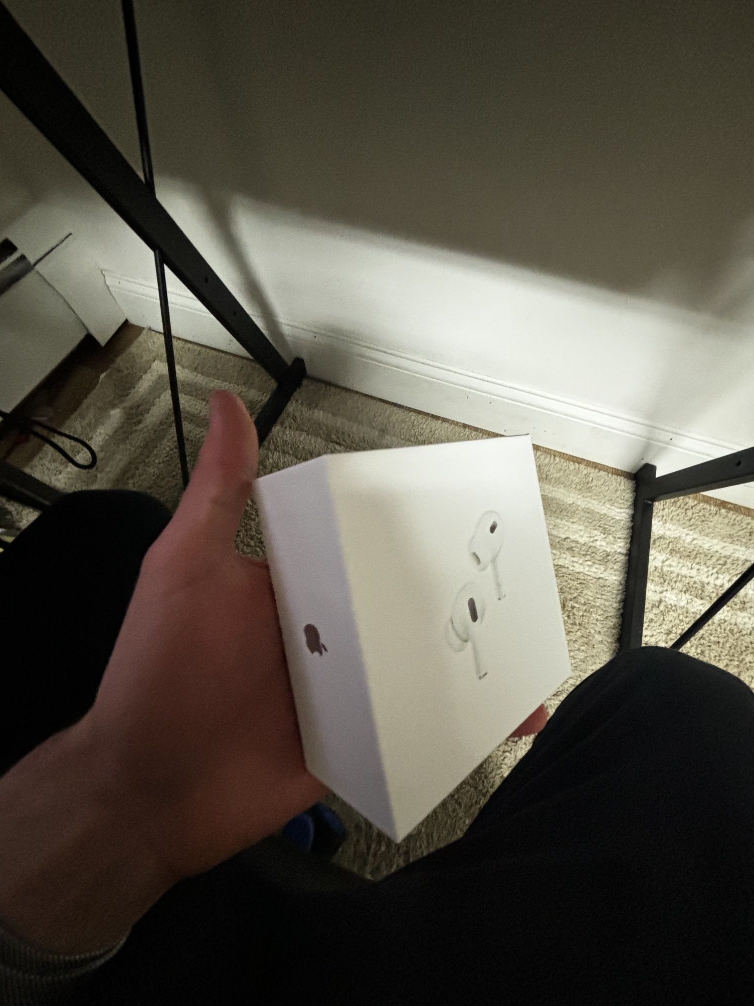 Airpod Pro 2s