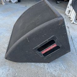 Cerwin Vega 12” Monitor