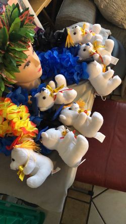 Graduation 👨‍🎓 leis