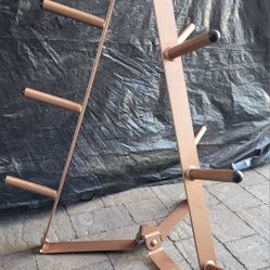 Storage Rack for Standard and Olympic Weight Plates 