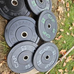 Bumper Plates And Barbell 