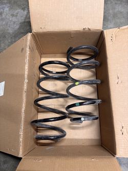Rear Coil Springs (2025 Toyota 4Runner)