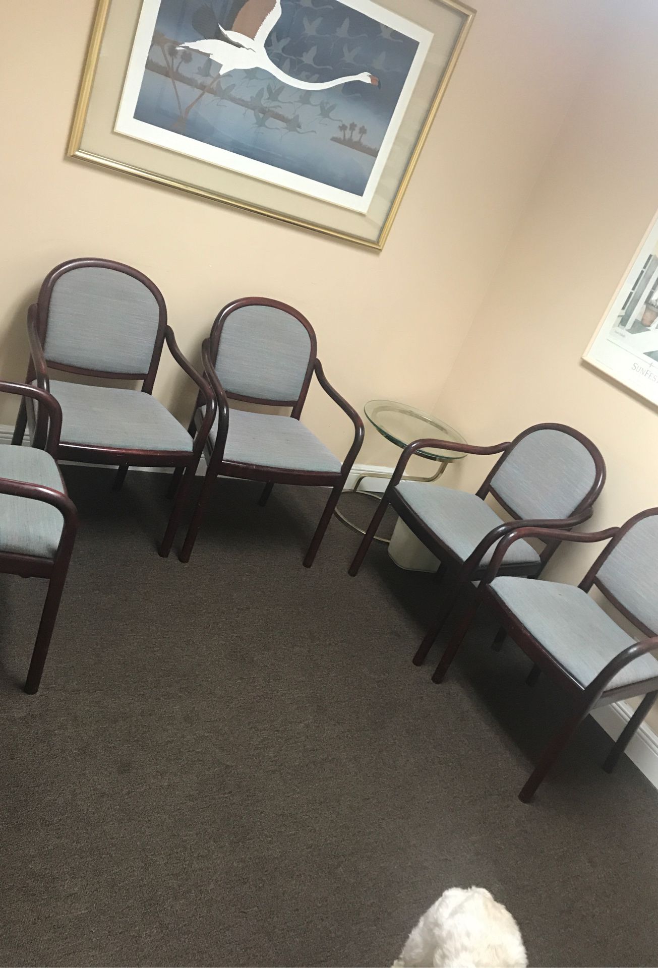 Office chairs // set of 5