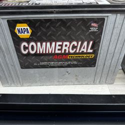 OEM Batteries from Winnebago Travato 