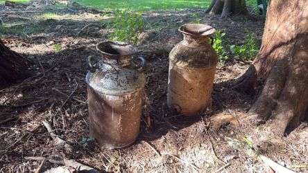 Vintage Metal Milk Cans – Rustic Farmhouse Decor