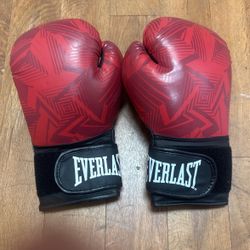 Everlast Spark Training Glove 12oz