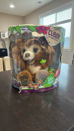 Cubby Curious Bear