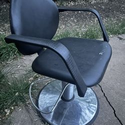 Salon Chair