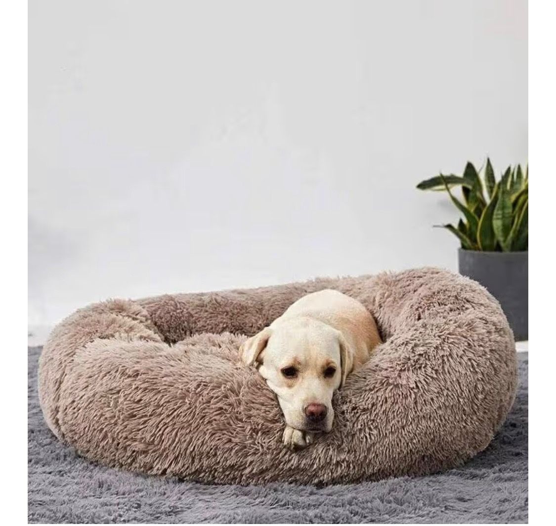 Mr. Fluffy Friend beds