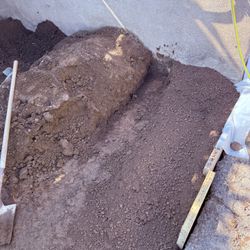 Free Garden Soil 