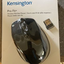 Wireless Mouse.
