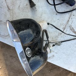 Fish And Turtle Decor 