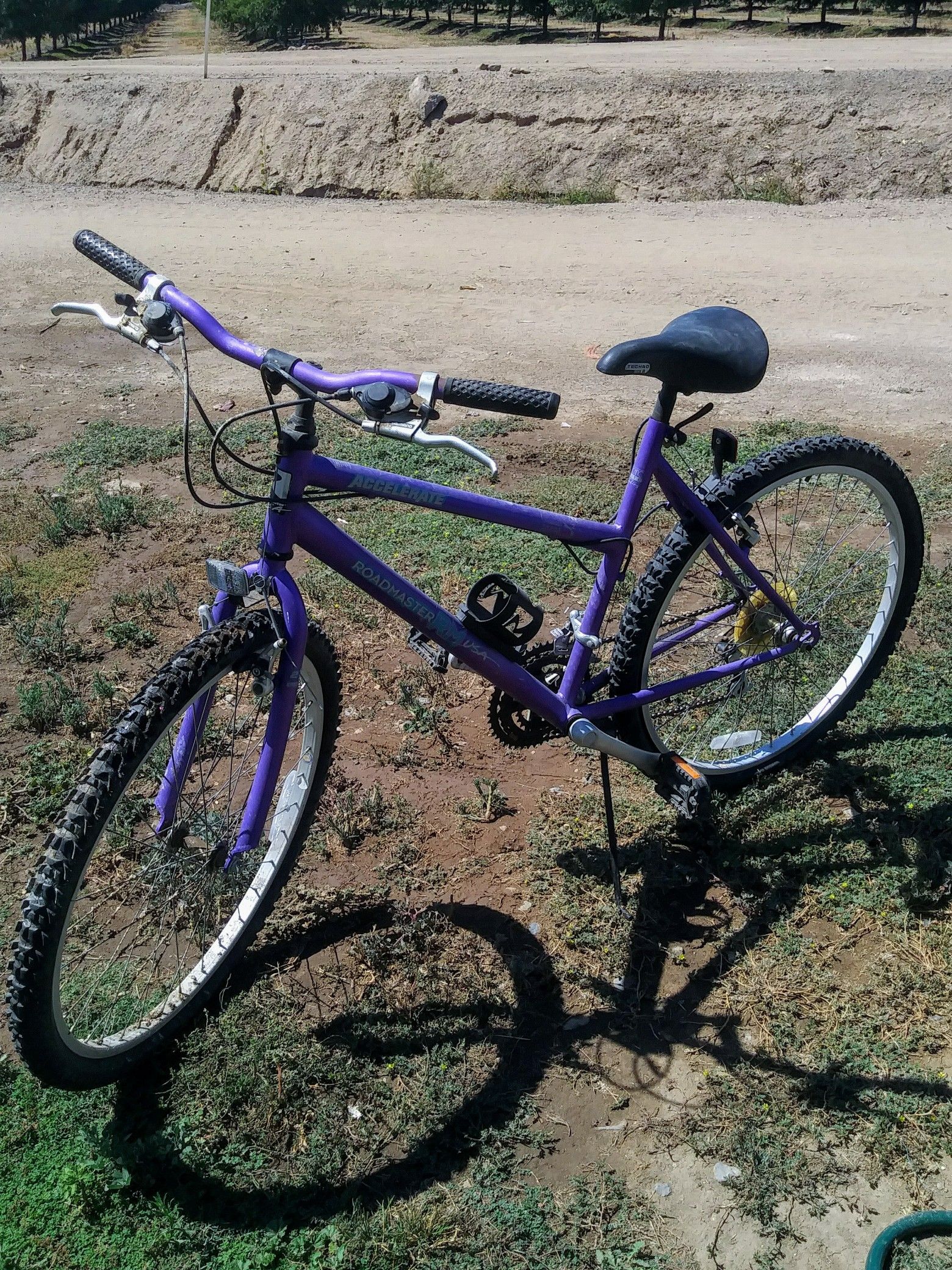 Roadmaster Accelerate Mountain Bike