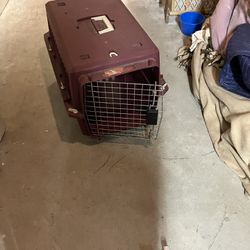 Burgundy Dogs Crate 