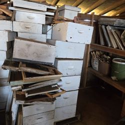 Bee Equipment 