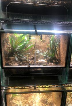 Custom Euro Style Vivarium 17 L x 22 W x 18 H