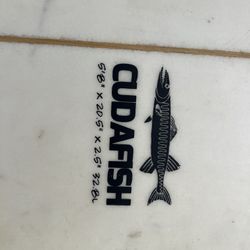 Surftech Cudafish Surfboard