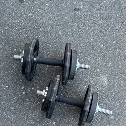 Dumbbell Weights 