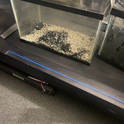 10 Gallon And 20 Gallon long  Aquarium With Substrate And Filters