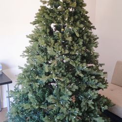 Free Christmas tree