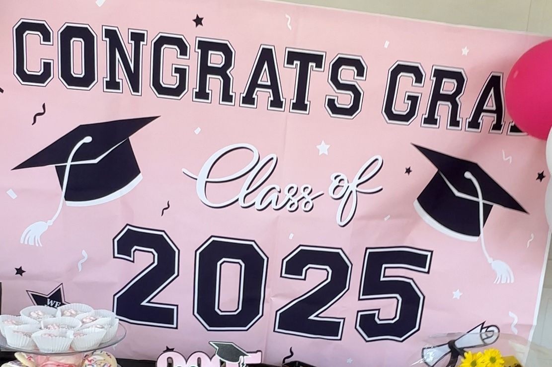 Pink Graduation Backdrop