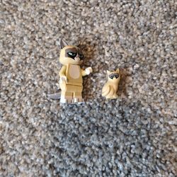 Grumpy Cat Lego Minifgures 