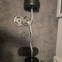 Curl Bar With Weights