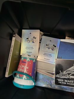 Disney bin