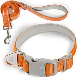 Brand Barkbay

Dog Collar for Dogs Reflective with Leash,Collar and Leash for Dogs,Soft Neoprene Padded 2 Pack(Orange,xs)


