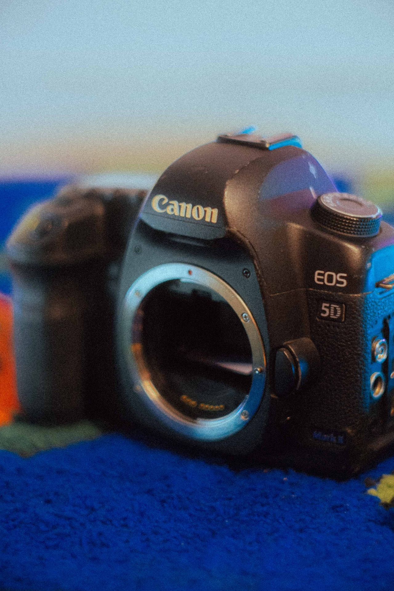 Canon 5D Mark II (BODY)