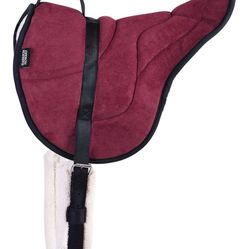 Horse Padded Saddle And Girth