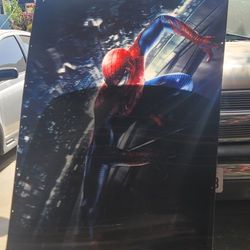 4'x6' Spiderman 3D Holographic Movie Poster Board.