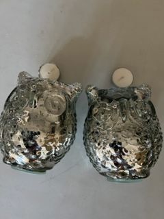 Glass Owls 