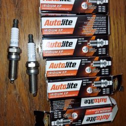 6 Spark Plugs Brand New