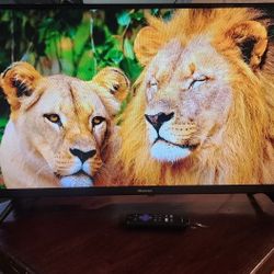 32" 1080p LED Smart Roku TV 2021