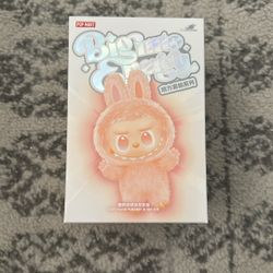 Labubu BIE Brand New (5) 