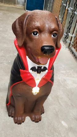 Home Accents Holiday 2.5ft Chocolate Lab Vampire Dog Blow Mold LED Greeter