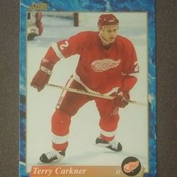 1994 Score Pinnacle Terry Carkner Detroit Red Wings #508 Hockey Card Vintage Collectible Sports NHL Pro Trading Professional