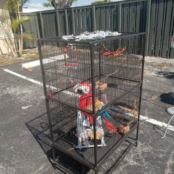 Metal Bird Cage 48"h Excellent Shape No Rust Or Damage