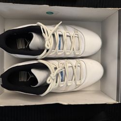 Jordan 11s Legend Blue 