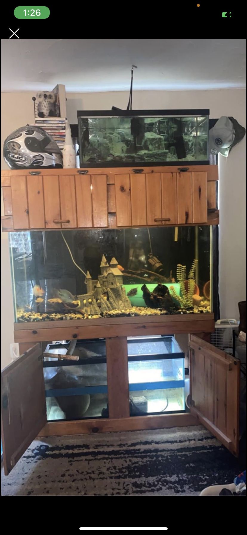 90 gallon fish tank setup