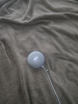 Google nest