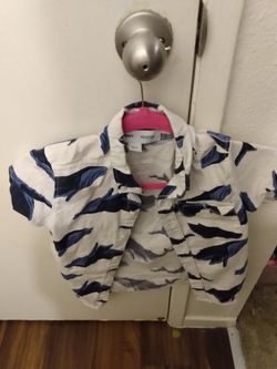 Boys clothes $15 for all for shirts ,shorts, jeans /size 6/7