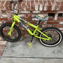 Teenage Mutant Ninja Turtle Kids bike