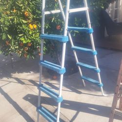 Ladder